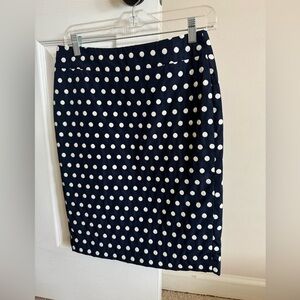 Ann Taylor Skirt